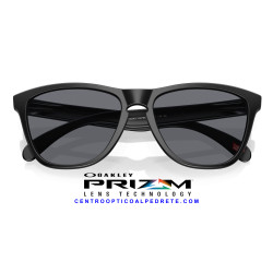 Oakley Frogskins Matte Black Grey | Gafas de Sol Originales