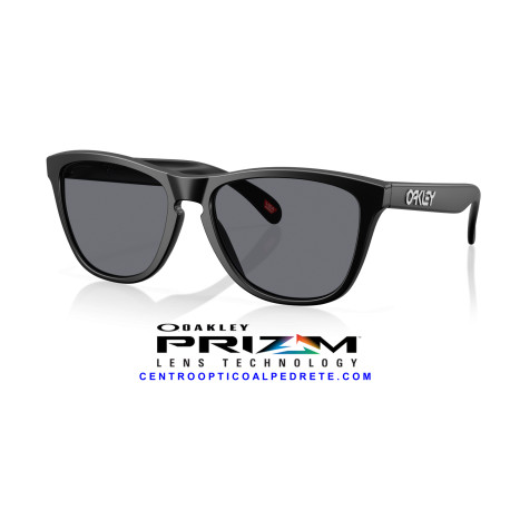 Oakley Frogskins Matte Black Grey | Gafas de Sol Originales