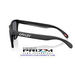 Oakley Frogskins Matte Black / Grey | Gafas de Sol OO9013-M7
