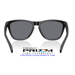 Oakley Frogskins Matte Black Grey | Gafas de Sol Originales