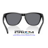 Oakley Frogskins Matte Black Grey | Gafas de Sol Originales