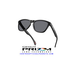 Oakley Frogskins Matte Black Grey | Gafas de Sol Originales