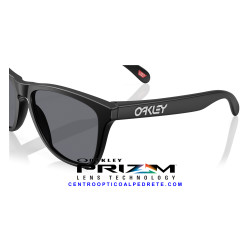 Oakley Frogskins Matte Black Grey | Gafas de Sol Originales