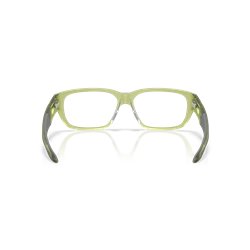 Oakley Upturn Matt Transparent Fern (OX8192D-03)