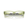 Oakley Upturn Matt Transparent Fern (OX8192D-03)