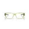 Oakley Upturn Matt Transparent Fern (OX8192D-03)