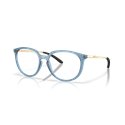 Oakley BMNG Matt Transparent Abyss (OX8150-10)
