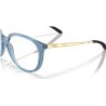 Oakley BMNG Matt Transparent Abyss (OX8150-10)