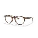 Oakley Spindrift Satin Brown Tortoise (OX8176-02)