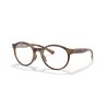 Oakley Spindrift Satin Brown Tortoise (OX8176-02)