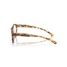 Oakley Draw Up Matt Ginger Tortoise (OX8057-08)