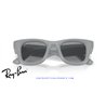 Ray-Ban Puffer Sunglasses Solid Grey / Grey (RB4940 6876/1)