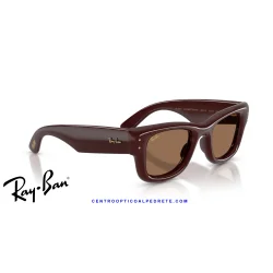 Ray-Ban Balorama Black / Clear Gradient Grey (RB2489 129432)
