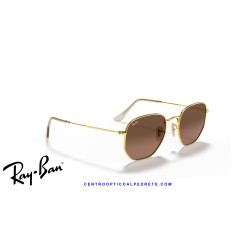 Ray-Ban Hexagonal Arista Gold Sunglasses | Brown | Centro Óptico Alpedrete