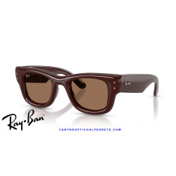 Ray-Ban Puffer Sunglasses Dark Brown / Dark Brown (RB4940 687773)