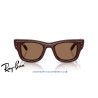 Ray-Ban Puffer Sunglasses Dark Brown / Dark Brown (RB4940 687773)