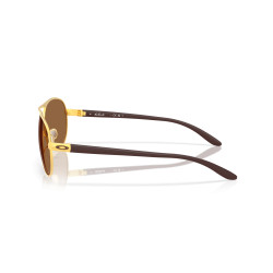Oakley Feedback Satin Gold Sunglasses | Official