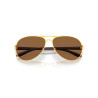 Oakley Feedback Satin Gold Sunglasses | Official