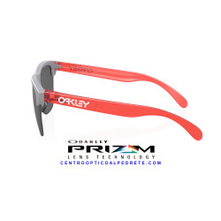 Oakley Frogskins Lite Matte Fog Prizm Black | Gafas de Sol Originales