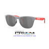 Oakley Frogskins Lite Matte Fog Prizm Black | Gafas de Sol Originales