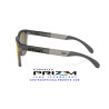 Oakley Frogskins Range Matte Grey Smoke | Oakley en Centro Óptico Alpedre