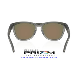 Oakley Frogskins Range Matte Grey Smoke | Oakley en Centro Óptico Alpedre
