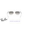 Ray-Ban New Wayfarer Transparent | Distribuidor oficial autorizado en Alpedrete