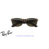 Ray-Ban New Wayfarer Tortoise | Original sunglasses from Centro Óptico