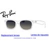 Pareja de lentes Originales Ray-Ban New Wayfarer Gris Degradado (RB2132 - 618371)