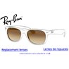 Original Ray-Ban New Wayfarer Light Brown Gradient Replacement Lenses (RB2132 - 710/51)