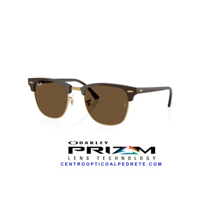 Gafas de sol Ray-Ban Clubmaster Brown & Gold | Dark Brown | Distribuidor Oficial