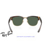Ray-Ban ClubMaster Reverse Havana Sunglasses | Centro Óptico Alpedrete