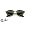 Ray-Ban ClubMaster Reverse Havana Sunglasses | Centro Óptico Alpedrete