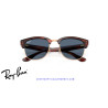 Ray-Ban ClubMaster Reverse Striped Havana On Rose Gold | Centro Óptico Alpedrete