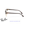 Ray-Ban ClubMaster Red Havana  | Ray-Ban en Centro Óptico Alpedrete...
