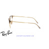 Ray-Ban New ClubMaster Beige On Gold  | Ray-Ban en Centro Óptico Alpedrete