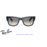 Ray-Ban Mega Wayfarer Transparent Dark Blue | Ray-Ban at Centro Óptico A