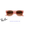 Ray-Ban Mega Wayfarer Transparent Pink | Ray-Ban at Centro Óptico Alpedr