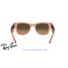 Ray-Ban Mega Wayfarer Transparent Pink | Ray-Ban at Centro Óptico Alpedr