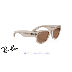 Ray-Ban Mega Wayfarer Transparent Light Brown Sunglasses with Dark Brown lenses
