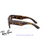 Ray-Ban Mega Wayfarer Havana | Ray-Ban en Centro Óptico Alpedrete