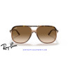 Ray-Ban Bill Havana On Transparent Brown | Ray-Ban at Centro Óptico Alpe