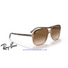 Ray-Ban Bill Havana On Transparent Brown | Ray-Ban at Centro Óptico Alpe