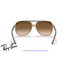 Ray-Ban Bill Havana On Transparent Brown | Ray-Ban at Centro Óptico Alpe