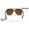 Ray-Ban Bill Havana | Ray-Ban at Centro Óptico Alpedrete