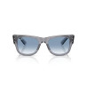 Ray-Ban Mega Wayfarer Transparent Grey | Ray-Ban at Centro Óptico Alpedr