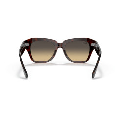 Ray-Ban State Street Havana on Transparent Pink | Centro Óptico Alpedrete