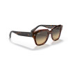 Ray-Ban State Street Havana on Transparent Pink | Centro Óptico Alpedrete
