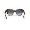 Ray-Ban State Street Havana Yellow Sunglasses | Centro Óptico Alpedrete