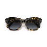 Ray-Ban State Street Havana Yellow Sunglasses | Centro Óptico Alpedrete